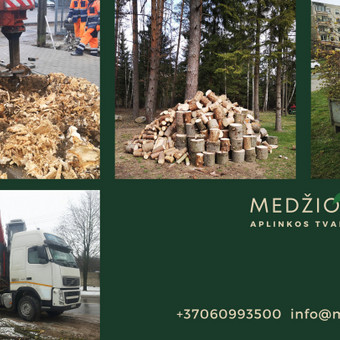 Mes taip pat siūlome šakų ir kitų žaliųjų atliekų išvežimo paslaugą iš Jūsų kiemo, užtikrinant, kad po darbų jis būtų švarus ir saugus. Vilnius MEDŽIO ŠERDIS nuotrauka 3 Šakų išvežimas Vilnius MEDŽIO ŠERDIS nuotrauka 3