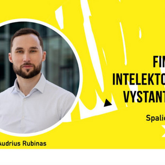 Įmonės finansinės būklės analizė, pinigų srautų valdymas ir optimizavimas, skolų kontrolė, biudžetų sudarymas. Klaipėdos rajonas Pelningi sprendimai nuotrauka 9 Finansų vadovo paslaugos Klaipėdos rajonas Pelningi sprendimai nuotrauka 9