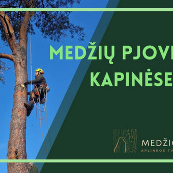 Medžių pjovimas kapinėse Vilnius MEDŽIO ŠERDIS nuotrauka 7