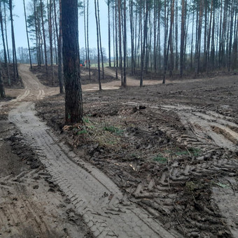Vejos įrengimas: sėjimas, ruloninė veja Molėtų rajonas Arturas nuotrauka 3