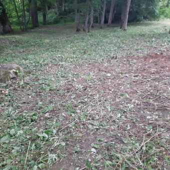 Pievų šienavimas Molėtų rajonas Arturas nuotrauka 2