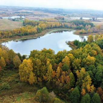Konsultacijos NT įteisinimo klausimais Panevėžys Arūnė Suchonytė nuotrauka 1