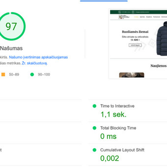 Svetainės greičio optimizavimas Vilnius Madiavo nuotrauka 9