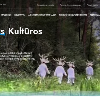 Svetainių kūrimas Kaunas Laimis Barvydas nuotrauka 3