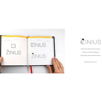 Grafikos dizaino pamokos Klaipėda Vaida Vidmantaitė nuotrauka 8