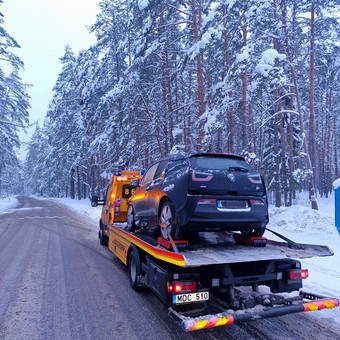Tralo paslaugos Vilnius Tralas Go nuotrauka 1