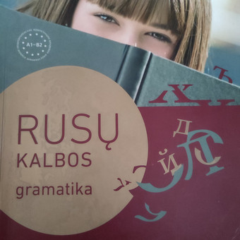 Grupiniai užsiėmimai įmonėms Šiauliai Meilutė Račkauskienė nuotrauka 5