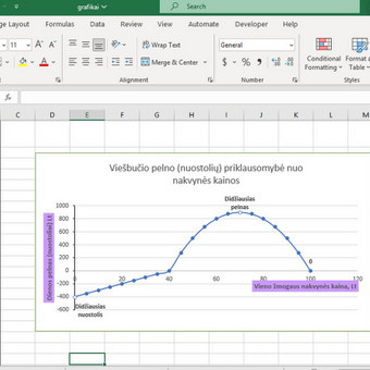 Darbo su „Microsoft Office Excel“ programa konsultacijos Palanga Saulė Janavičiūtė nuotrauka 1