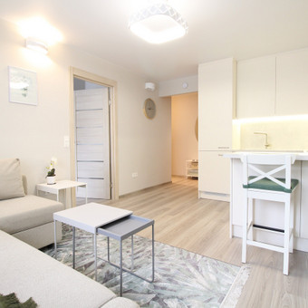 NT nuoma Vilnius Renata Lapinskienė nuotrauka 12