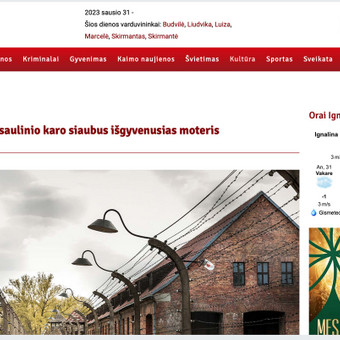 SEO straipsnių rašymas Vilnius Domante Juknonyte nuotrauka 4