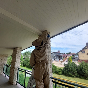Vapsvų ir širšių naikinimas Kaunas UAB NAIKINTA nuotrauka 6