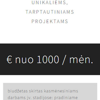 Didelės apimties ir tarptautiniai projektai Vilnius UAB Market Rats nuotrauka 5