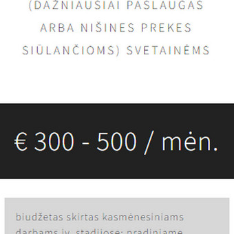 Nedidelės apimties svetainės Vilnius UAB Market Rats nuotrauka 3