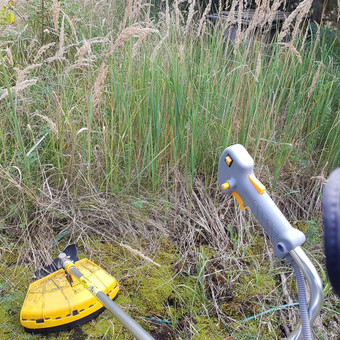Žolės pjovimas Panevėžys Smulkūs buitiniai darbai nuotrauka 6