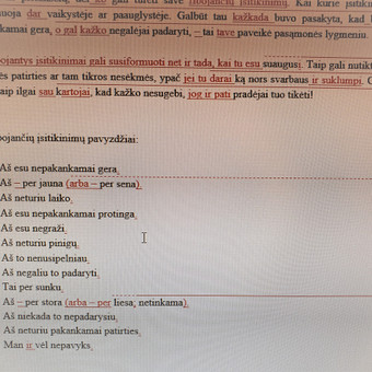 Profesionalios redagavimo paslaugos tvarkant įvairaus pobūdžio tekstų kalbą ir stilių. Kauno rajonas Margarita nuotrauka 22 Užrašinės, dienoraščiai Kauno rajonas Margarita nuotrauka 22