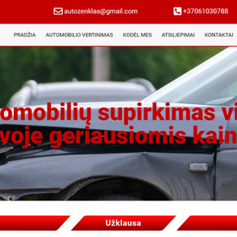 Vieno puslapio svetainė Kaunas Jonas nuotrauka 14 One-Page Kaunas Jonas nuotrauka 14