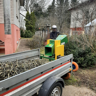 Šakų smulkinimas Kaunas Kestutis Gerulis nuotrauka 5