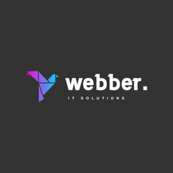 WordPress mokymai Klaipėda Webber. nuotrauka 4