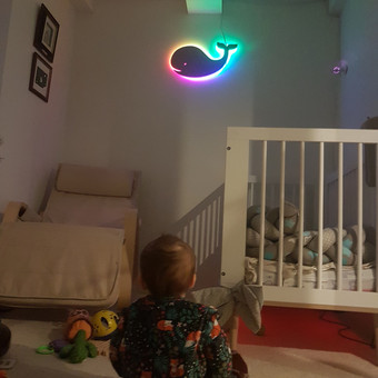 Įvairių led dekoracijų gamyba ir nuoma Klaipėda Virmantas nuotrauka 9 Led Dekoracijų gamyba/nuoma Klaipėda Virmantas nuotrauka 9