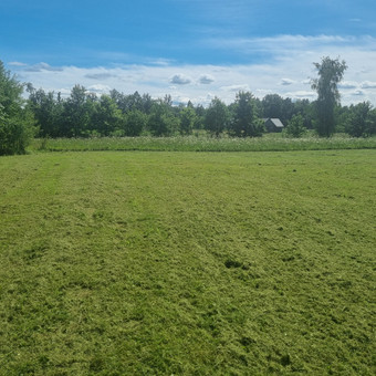 Pievų šienavimas trimeriu, žoliapjove arba traktoriuku. Kaina nuo 3 eurų už arą. Nuolatinei priežiūrai ir dideliems plotams taikoma nuolaida. Alytus Vytenis nuotrauka 3 Pievų šienavimas Alytus Vytenis nuotrauka 3