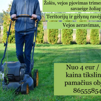 Žolės pjovimas - mulčiavimas Kaunas Visa vejos priežiūra nuotrauka 3 Pievų šienavimas Kaunas Visa vejos priežiūra nuotrauka 3