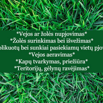 Vejos aeravimas, tręšimas, sėjimas Kaunas Visa vejos priežiūra nuotrauka 2 Vejos aeravimas Kaunas Visa vejos priežiūra nuotrauka 2