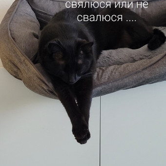 Консультация подростков 15+
Вопросы развода родителей.
Разрыв личных отношений в паре. Vilnius Oxana Guryanova nuotrauka 3 Vaikų psichologai Vilnius Oxana Guryanova nuotrauka 3