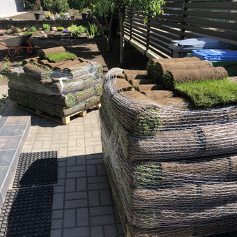 Vejos įrengimas: sėjimas, ruloninė veja Kaunas ProVejos nuotrauka 1