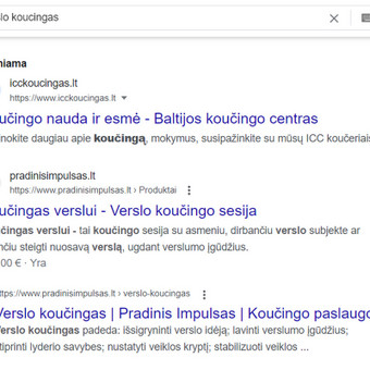 Išorinis SEO e. parduotuvėms Vilnius Alma Užusienė nuotrauka 6 Išorinis SEO Vilnius Alma Užusienė nuotrauka 6