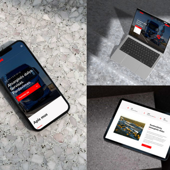 Svetainių dizainas (web design) Vilnius Viktorija Jokšaitė nuotrauka 1