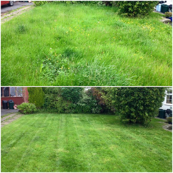 Žolės pjovimas Kaunas Marius nuotrauka 1