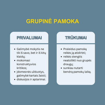 Papildomas grupinis lietuvių kalbos mokymas Vilnius Arina Lenkaitytė nuotrauka 3