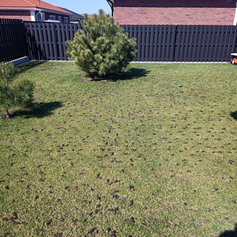 Vejos smėliavimas/levelingas po "Core Aeration" , nuo 100 eu/aras.
( 1arui reikia 1m3 smėlio,smėlis į kainą neįsiskaičiuoja)
Dėl didelio užimtumo galimas šios paslaugos nevykdymas Klaipėda Martynas.em nuotrauka 4 Vejos smėliavimas,leweling'as Klaipėda Martynas.em nuotrauka 4