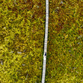 Galime pasiūlyti aukštos kokybes fotografavimo ir filmavimo paslaugas ore, bei 360 panoramines nuotraukas darytas dronu Kaunas Roberta Kirsnickaitė nuotrauka 15 Nuotraukos iš drono Kaunas Roberta Kirsnickaitė nuotrauka 15