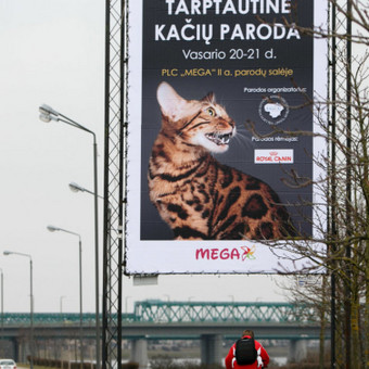 Kabiname reklaminius tentus. Vilnius Matas nuotrauka 2 Iškabų, reklaminių tentų montavimas ir demontavimas Vilnius Matas nuotrauka 2