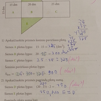 Pagalba matematikos namų darbuose Elektrėnų sav. Audra nuotrauka 3