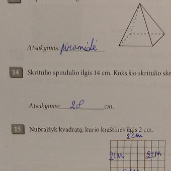 3-4 klasių mokinių papildomas matematikos mokymas internetu Elektrėnų sav. Audra nuotrauka 4