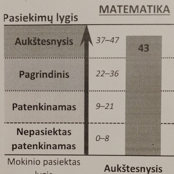 Papildomas matematikos mokymas internetu Elektrėnų sav. Audra nuotrauka 2