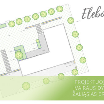 Konsultacija internetu Vilnius Elebores nuotrauka 6