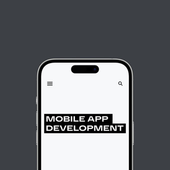 Mobiliųjų aplikacijų dizaino kūrimas Klaipėda UAB OiGreat nuotrauka 3