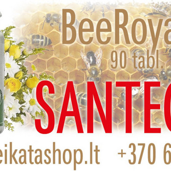 Bee Royal™ 90 tabl - maisto papildas SANTEGRA Klaipėda Alla Nekrasova nuotrauka 3