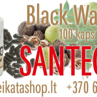 Black Walnut 100 kaps - maisto papildas SANTEGRA Klaipėda Alla Nekrasova nuotrauka 4