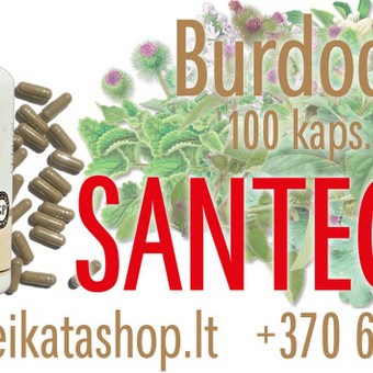Burdock 100 kaps - maisto papildas SANTEGRA Klaipėda Alla Nekrasova nuotrauka 6