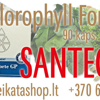 Chlorophyll Forte GP 90 kaps - maisto papildas SANTEGRA Klaipėda Alla Nekrasova nuotrauka 8