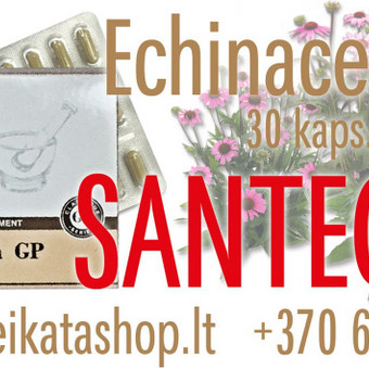 Echinacea GP 30 kaps - maisto papildas SANTEGRA Klaipėda Alla Nekrasova nuotrauka 10
