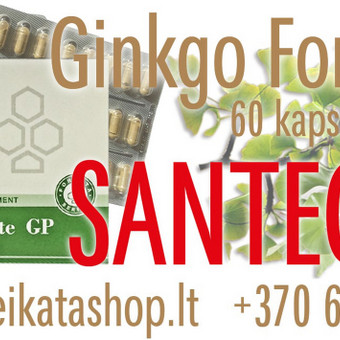 Ginkgo Forte GP 60 kaps - maisto papildas SANTEGRA Klaipėda Alla Nekrasova nuotrauka 24