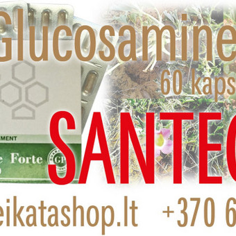Glucosamine Forte GP 60 kaps SANTEGRA Klaipėda Alla Nekrasova nuotrauka 13