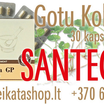 Gotu Kola GP 30 kaps SANTEGRA Klaipėda Alla Nekrasova nuotrauka 14