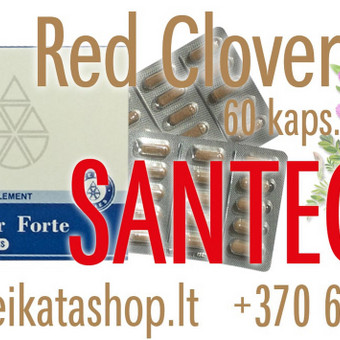 Red Clover Forte 60 kaps - maisto papildas SANTEGRA Klaipėda Alla Nekrasova nuotrauka 38