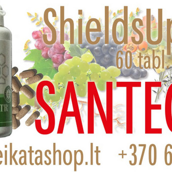 ShieldsUp™ TR 60 tabl - maisto papildas SANTEGRA Klaipėda Alla Nekrasova nuotrauka 35